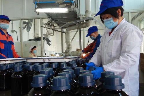 光华科技荣获“全国石油和化学工业先进集体”称号，彰显化工技术创新硬实力