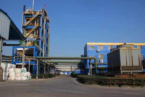 科技引领 创新驱动 以省第十五次党代会精神为指引，推进化工技术升级与高质量发展